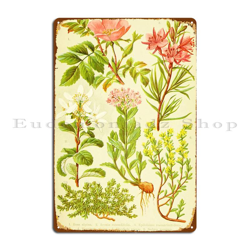 Home Cinema Wall Design - Hd Vintage Flowery Bouquet Design Number