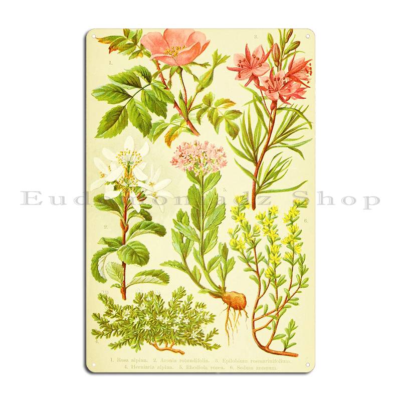 Hd Vintage Flowery Bouquet Des - đánh giá và giá Home Cinema Wall Design