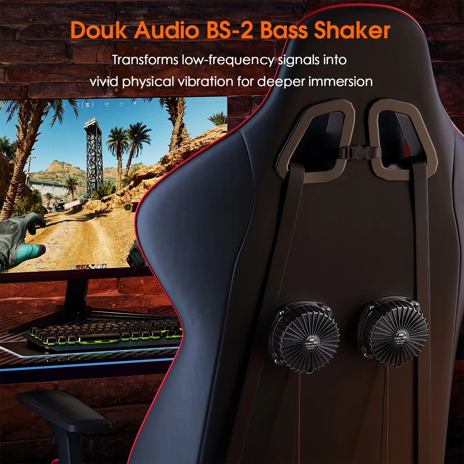Douk Audio BS-2 30W 4Ω Bass Sh - đánh giá và giá Home Cinema Kit